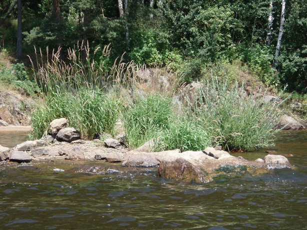 P7110144.JPG