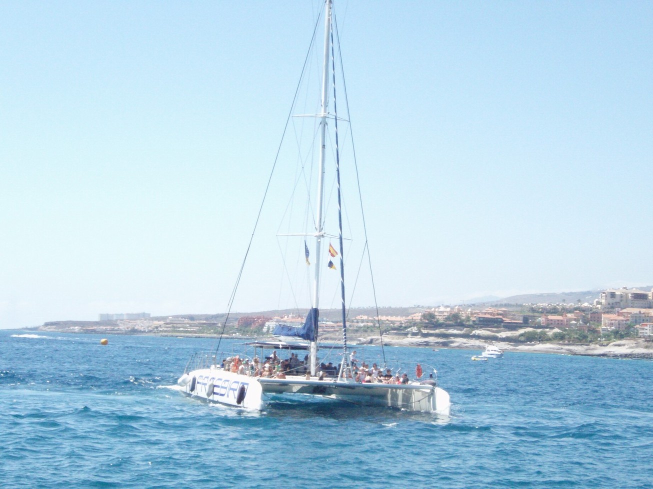 555.JPG